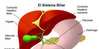 higadosalud1