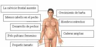 Que-es-el-Sindrome-de-Klinefelter