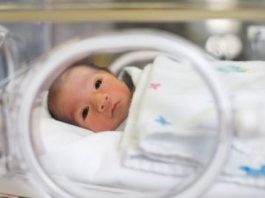 bebe-prematuro-sentimientos-encontrados1