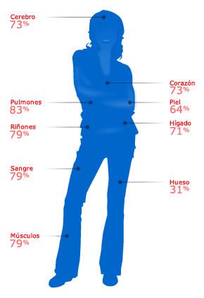 el-agua-en-elcuerpo