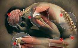 dolor1