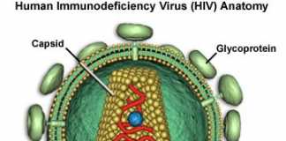hiv-demencia