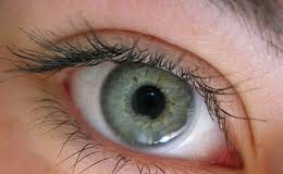 ojos-memoria