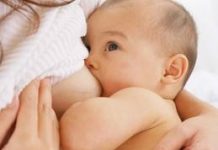 celulas-madres-leche