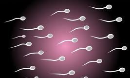 fertilidad1