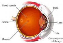 remedios-para-la-prevencion-de-la-degeneracion-macular-2