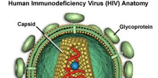 vih-virus