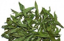te-stevia