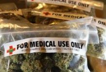 La marihuana podría ayudar a aliviar síntomas de esclerosis múltiple marihuana-esclerosis-multiple