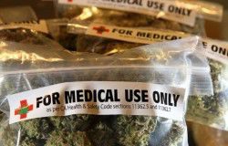 marihuana-esclerosis-multiple