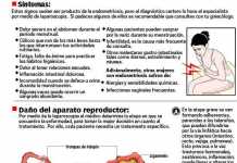 Que es la endometriosis: sus síntomas y tratamiento endometrio