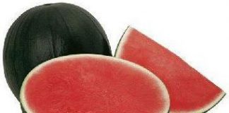 sandia-contiene-cianuro