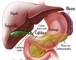 solucionviasbiliares