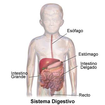antibioticos-y-riesgos-enfermedades-intestinales