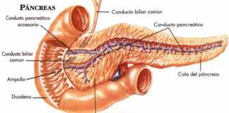 cancerpancreas