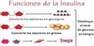insulina