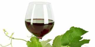 vinotinto