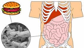 Prevenir-infecciones-de-escherichia-coli