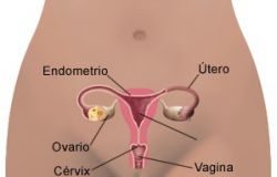 Prevenir-las-infecciones-vaginales