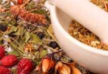 Remedios naturales para aumentar la fertilidad fertilidad