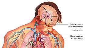 hipertension-arterial