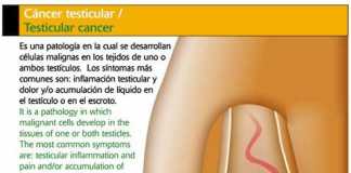 testicular
