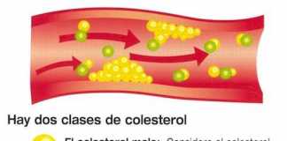 colesterol1