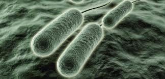 Identificando-infecciones-pulmonares-mediante-una-huella-respiratoria