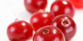 arandanos