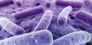 sepsis