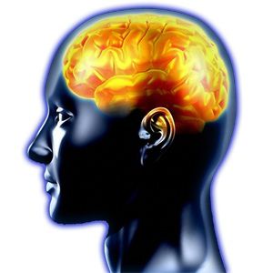 La obesidad puede afectar el desarrollo cognitivo en adolescentes desarrollo-cognitivo