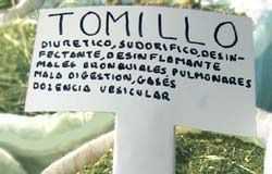 Remedios-naturales-para-tratar-el-enfisema-pulmonar