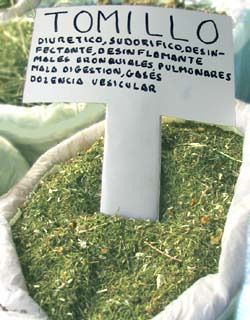 Remedios-naturales-para-tratar-el-enfisema-pulmonar
