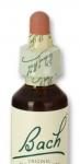 Flores de Bach Cerato 20ml cerato