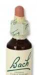 Flores de Bach Clematis 20ml clematis