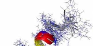 epigenetica