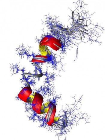 epigenetica