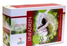 Luso Diete Linfadren ampollas 30x10ml luso_diete_linfadren_ampollas_30x10ml