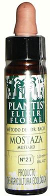 plantis_mustard_10ml