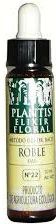 plantis_oak_10ml