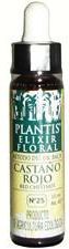 plantis_red_chestnust_10ml