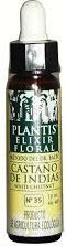 plantis_white_chestnut_10ml