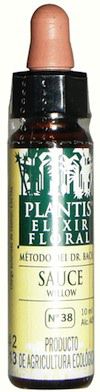 plantis_willow_10ml