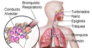 Consejos-para-tratar-fibrosis-pulmonar