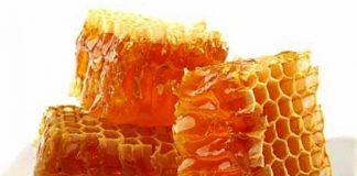 La-jalea-real-y-sus-beneficios-sobre-la-salud