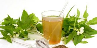 infusiones-antioxidantes