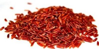 levadurarojaarrozcolesterol