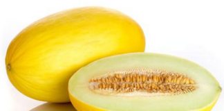 semillasfrutas