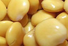 Propiedades nutricionales del altramuz altramuz