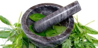 plantas-medicinales